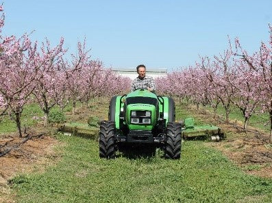 Tractor Agroplus F (Ecoline) Agroplus F 420 DT Rops