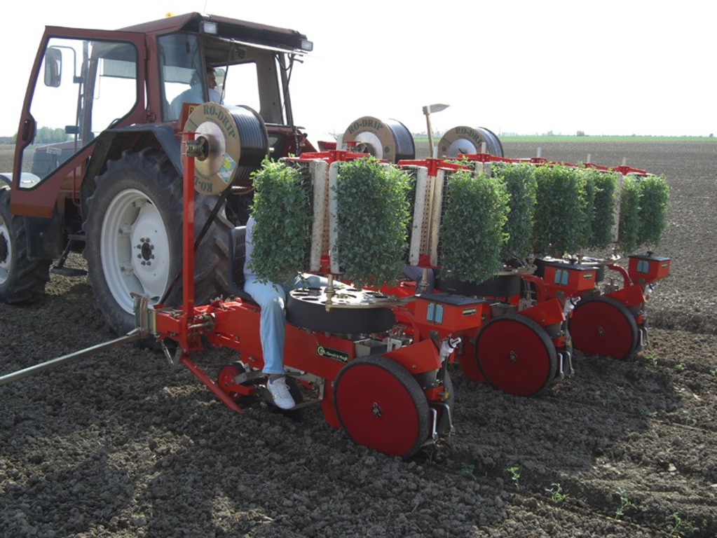 Plantadora de hortalizas 2 hileras TRIUM 3H