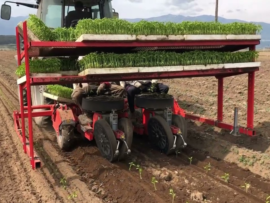 Plantadora de hortalizas 2 hieras UNITRIUM 2H