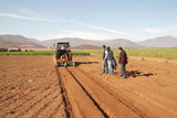 Rotovator Encamador Reverse 1500 Falc